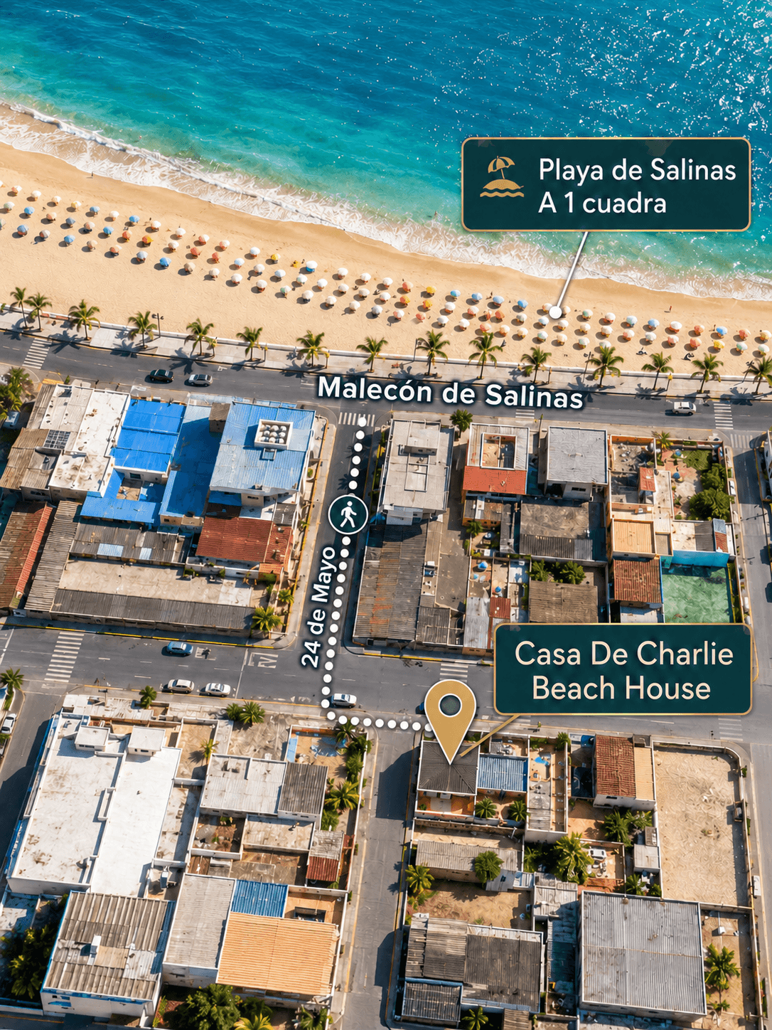 Walking route from Casa de Charlie to Playa de Salinas